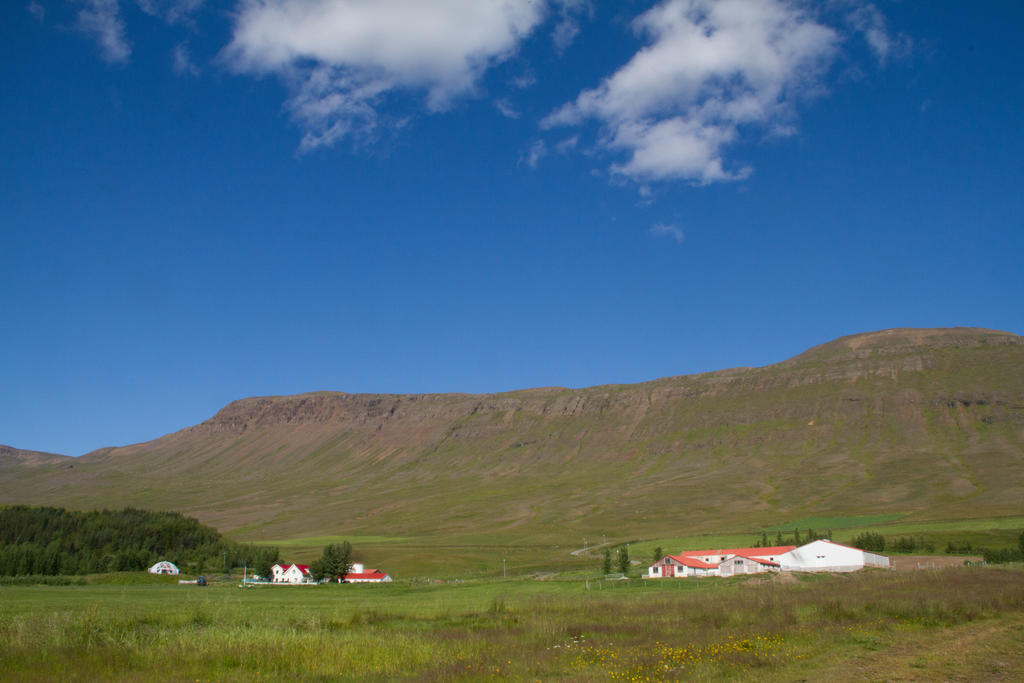 Guesthouse Hof In Vatnsdalur Hof i Vatnsdal Exterior photo